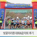 벚꽃100리길 활성 | 영천댐 벚꽃 100리 길 마라톤 대회 / 마라톤 대회와 야외 벚꽃 음악회 생생한 후기를 전합니다!