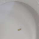 구룡포시장 이미지