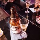 빌라누스 이미지