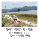 나라애견본점 | [강아지 대전여행-대전 애견동반] 대전 가볼만한곳...입장거봉포도휴게소, 대전관광공사 &amp; 펫츠고 후기
