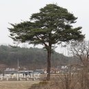 구계천 이미지