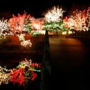 두류공원관리사무소 이미지