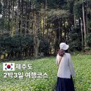 카앤코 | 엄마랑 2박3일 제주여행 서쪽 동쪽 코스