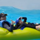 평창 휘닉스파크 이미지