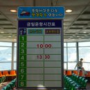 거제 통영 섬 여행 : 너무 아름다운 장사도 해상공원 까멜리아 (배 시간표,배편,가격 참고)