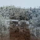 다미안의원 이미지