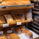 신빵굼터 이미지