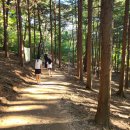 배산체육공원 축구장 이미지