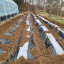 협동농약사 이미지