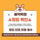 깔끔하개