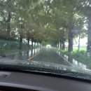 미실란밥 cafe 반하다 이미지