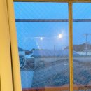 삶-풍경…愛 | 골든위크 일본 여행 #㈡ *테시마, 요코 하우스, 심장소리 아카이브, 테시마 미술관, 나오시마, 베네세...