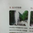 정들러