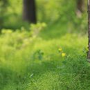 직업상담사 필기 - 노동시장론 이미지