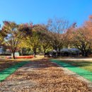 얼음골폭포민박 이미지