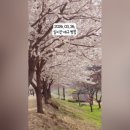 우리나현유치원 이미지