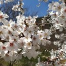 대곡보건지소 이미지