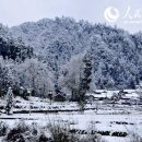 대한의산