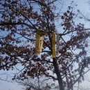 등곡경로당 이미지