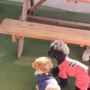 486독캠프 이미지