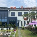 장수동 은행나무 인천대공원 대형카페 앨리스가든 후기