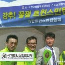 트윈스민턴