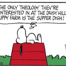 사무엘농장 이미지