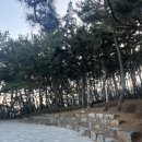 자산솔밭공원 이미지