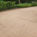 백석공원 화장실 이미지