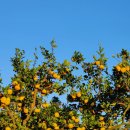 시월에농장 이미지