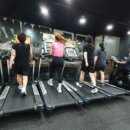 Body Buddy 이미지