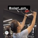 어댑트짐