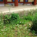 순흥향교 이미지