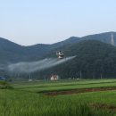 보령항공