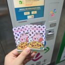 여자만마을 | 대만 타이베이 여행 -2 핑시선투어 라오허제야시장 지우펀 루이팡에서 허우통 고양이마을 대만과일 석가