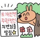 로이키즈풀빌라 이미지