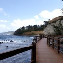 포항바다화석박물관 이미지