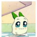 신영엔지니어링 | [2025 도시•부동산개발 여름학교]에 참가한 도시공학 학부생의 후기