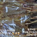 신선청과야채 이미지