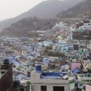 감천체육관 이미지