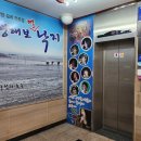 함평해보뻘낙지 이미지