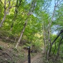 부용쉼터 | 천안 광덕산 등산 후기(7시 등산해서 정상에서 아침 먹기^^)