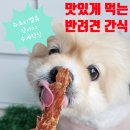 뉴트리밸류 강아지수제간식 기호성 좋은 반려견간식 후기
