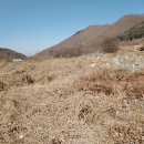 대전리농장 이미지