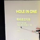 홀인원실내 네이버블로그