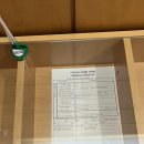 세명메디칼상사 | 똥줄타는 2024년 07월 캐세이 백그라운드 체크