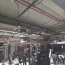 하이라이트 피트니스 이미지