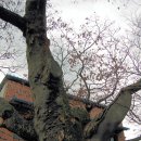 내태1리 이미지