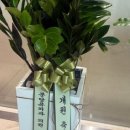 러브유외과의원 네이버블로그