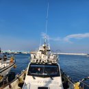 (주)호가 | 포항 알쭈꾸미낚시 빈스호 조황 사이즈 미쳤던 호미곶 선상낚시 후기